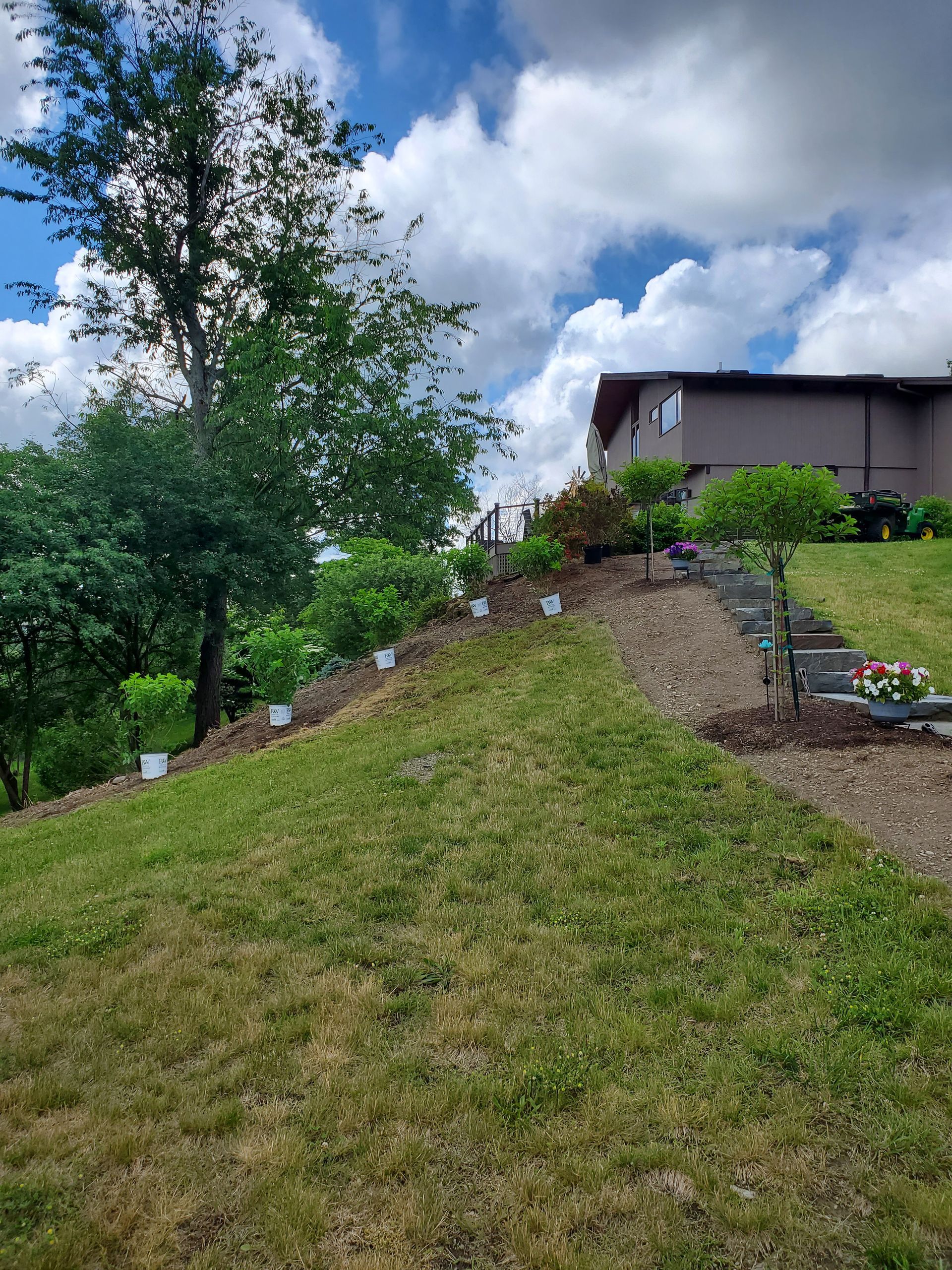 A lush green lawn with a house in the background.