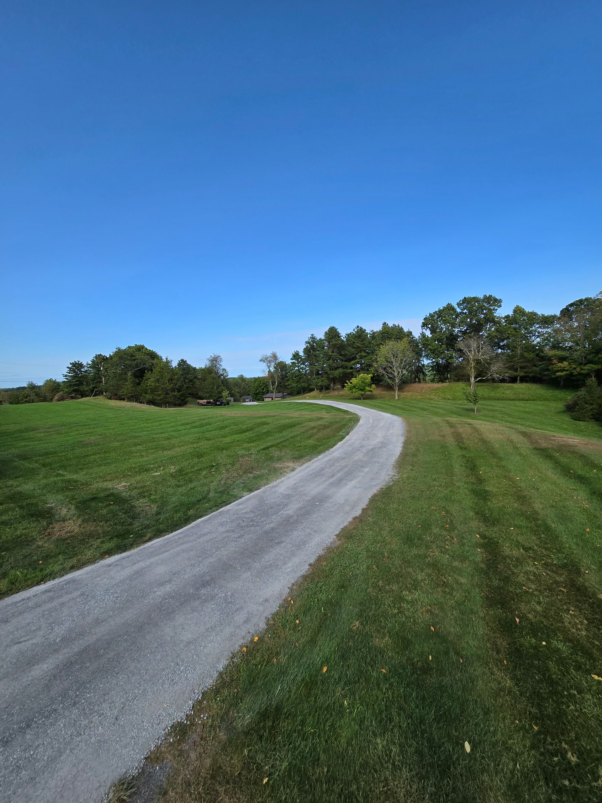 A dirt road going through a grassy field with trees on both sides.