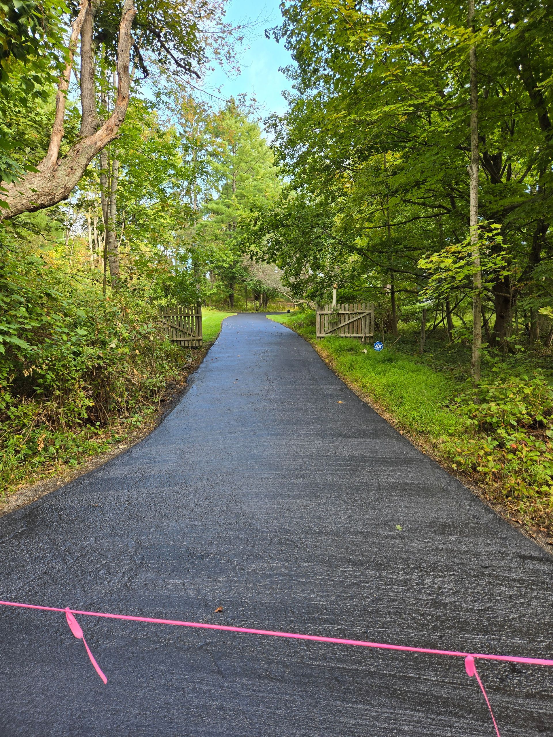 A road with trees on both sides and a pink line on the side of it.