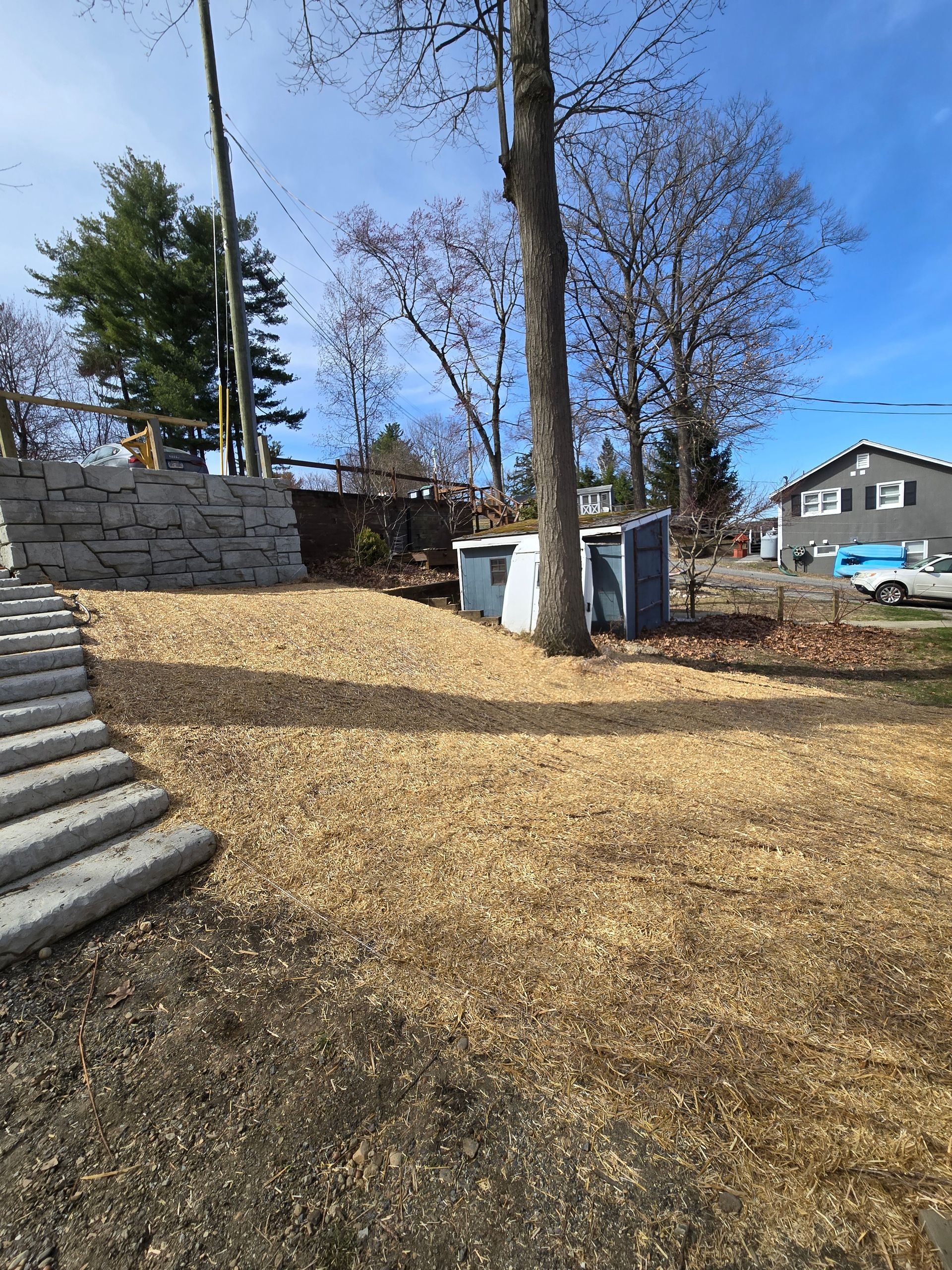 A pile of wood chips is sitting in the middle of a yard next to a tree.
