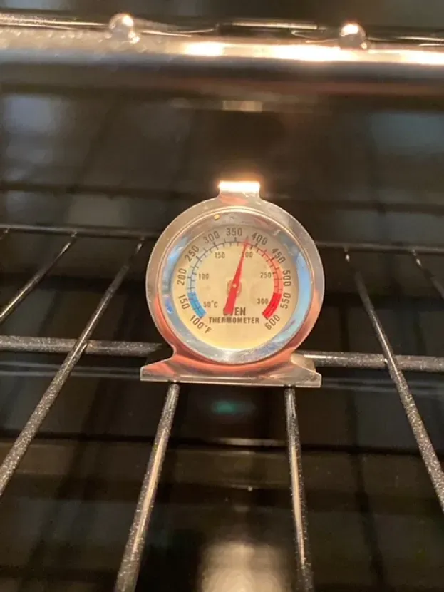 A thermometer is sitting on top of an oven rack.
