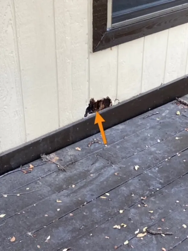 An arrow points to a hole in the side of a building