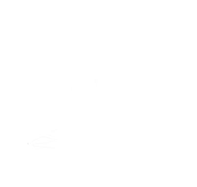 OPN Dock & Yard LLC