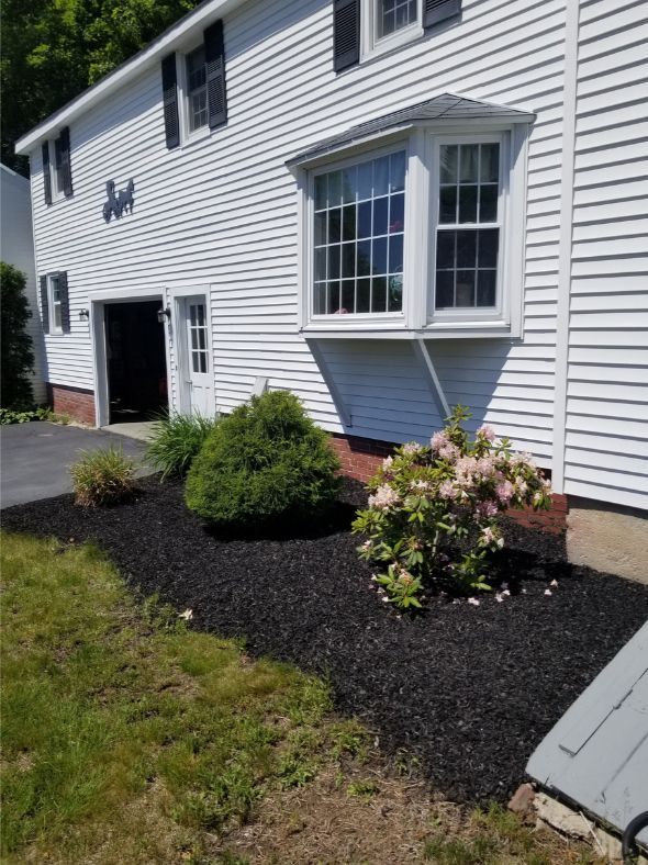 Freshly Planted Flower Bushes