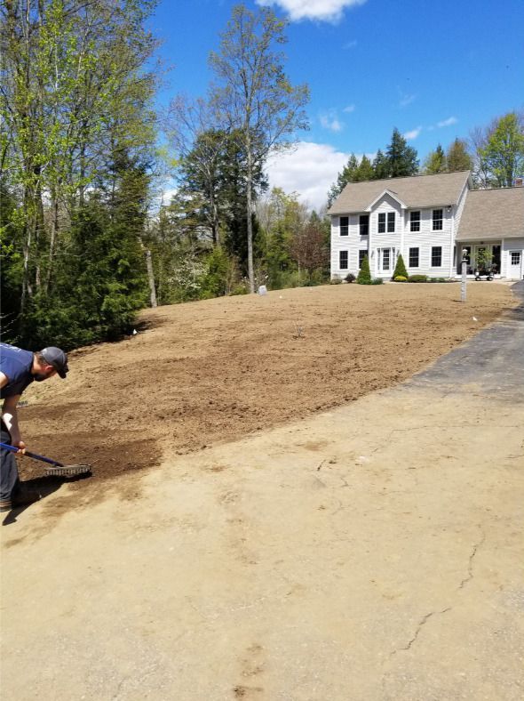 Landscaping Front Yard