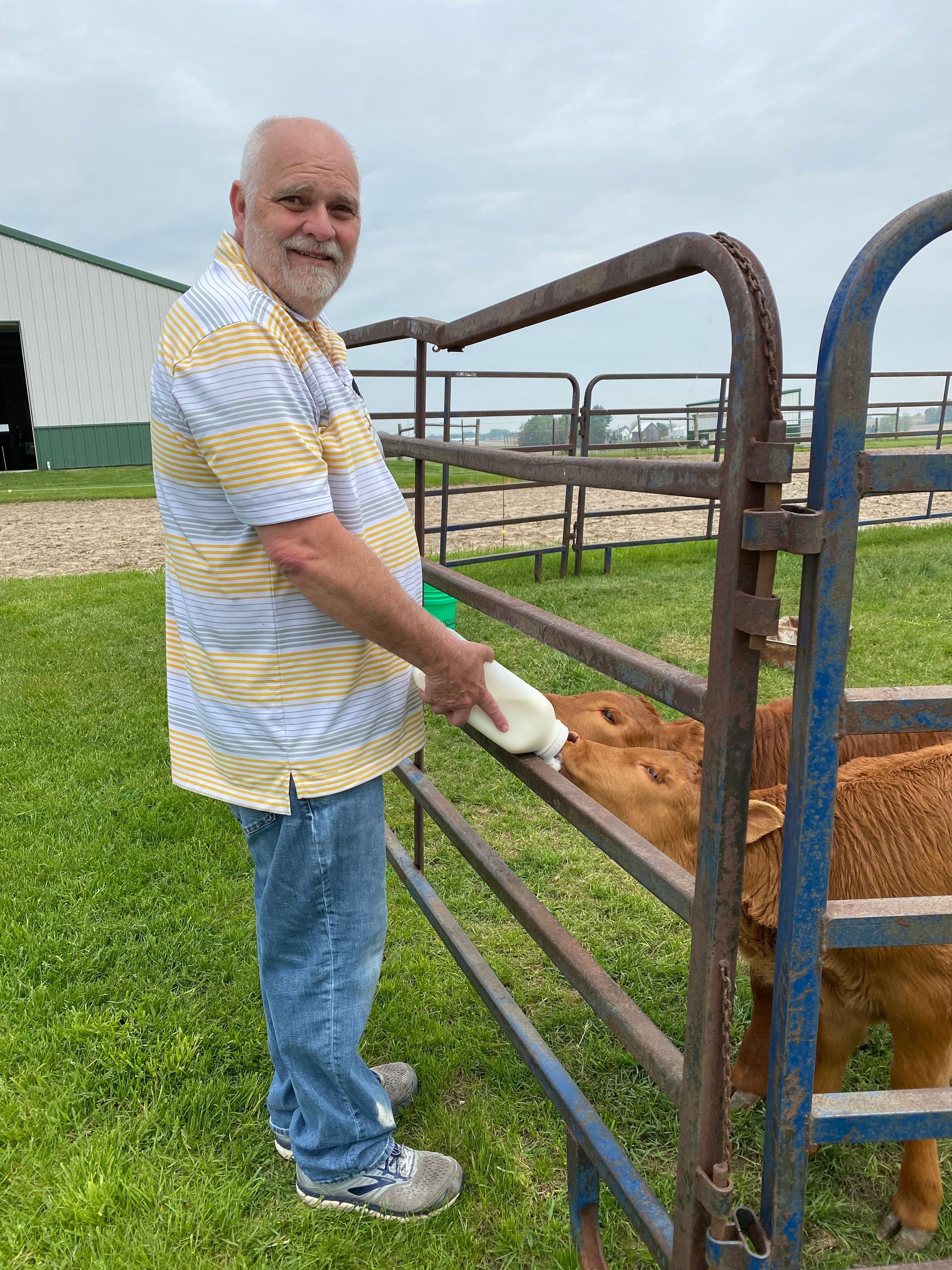 A man is feeding a baby cow a bottle of milk.