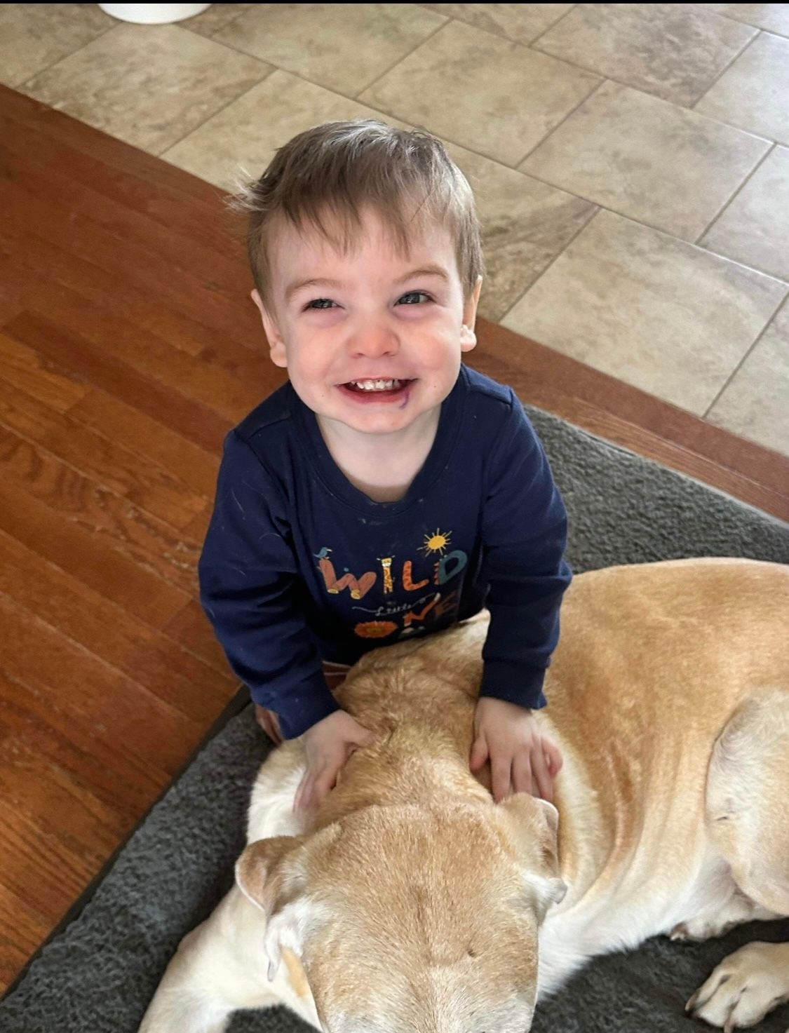 A little boy wearing a blue shirt that says wild one is petting a dog