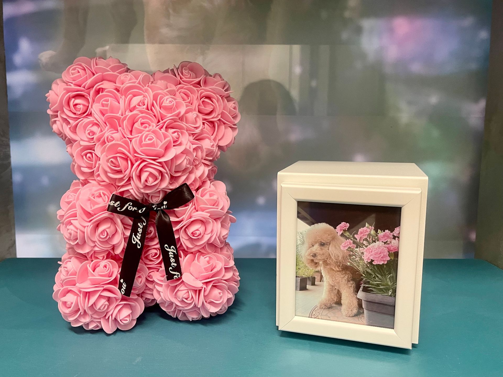 Un orsacchiotto fatto di rose rosa accanto alla foto di un cane su un'urna
