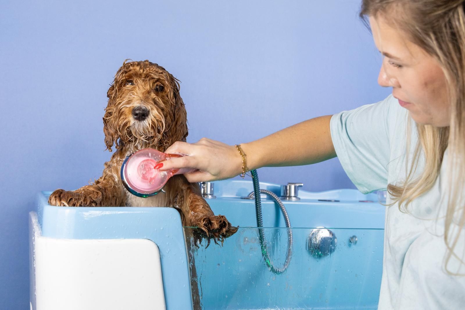 Een vrouw borstelt een hond in een badkuip.