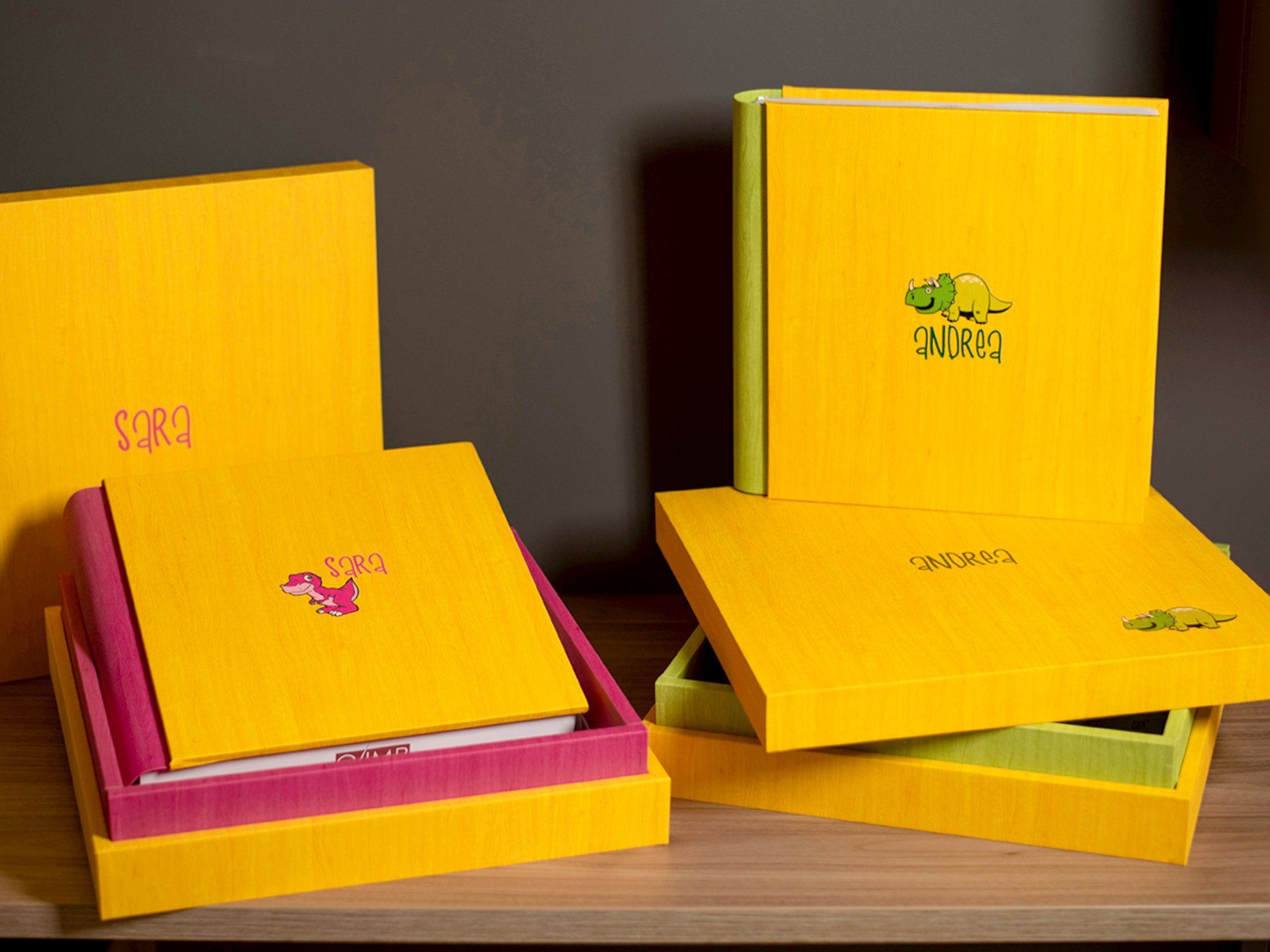 Box e Album Wooden animals