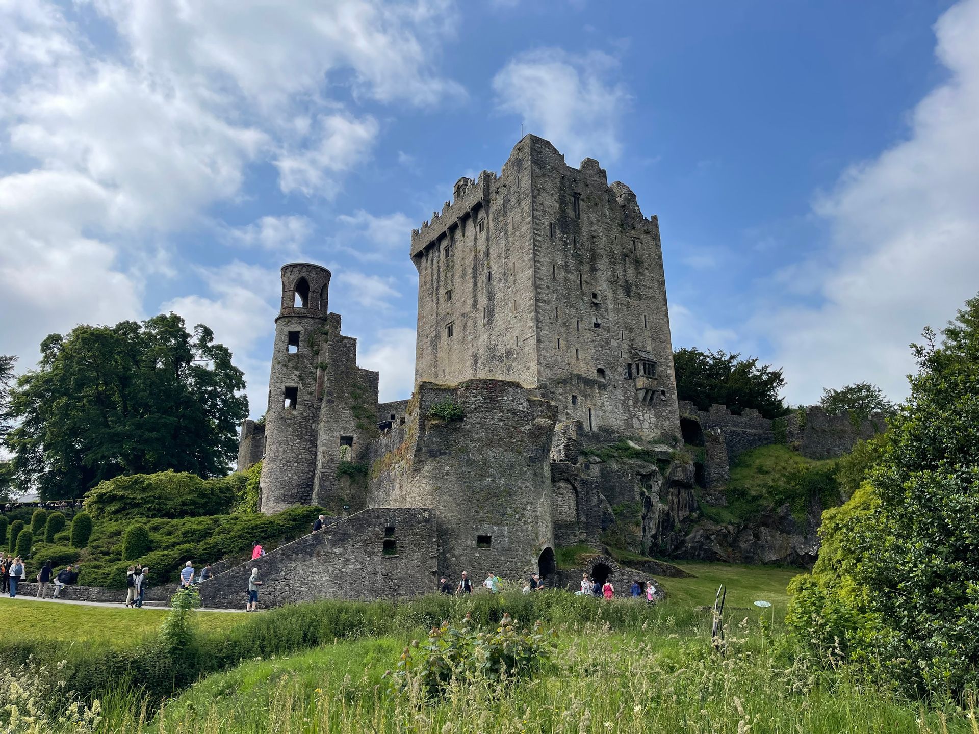 Chauffeur-Driven Private Tour of Cork City, Blarney & Cobh 