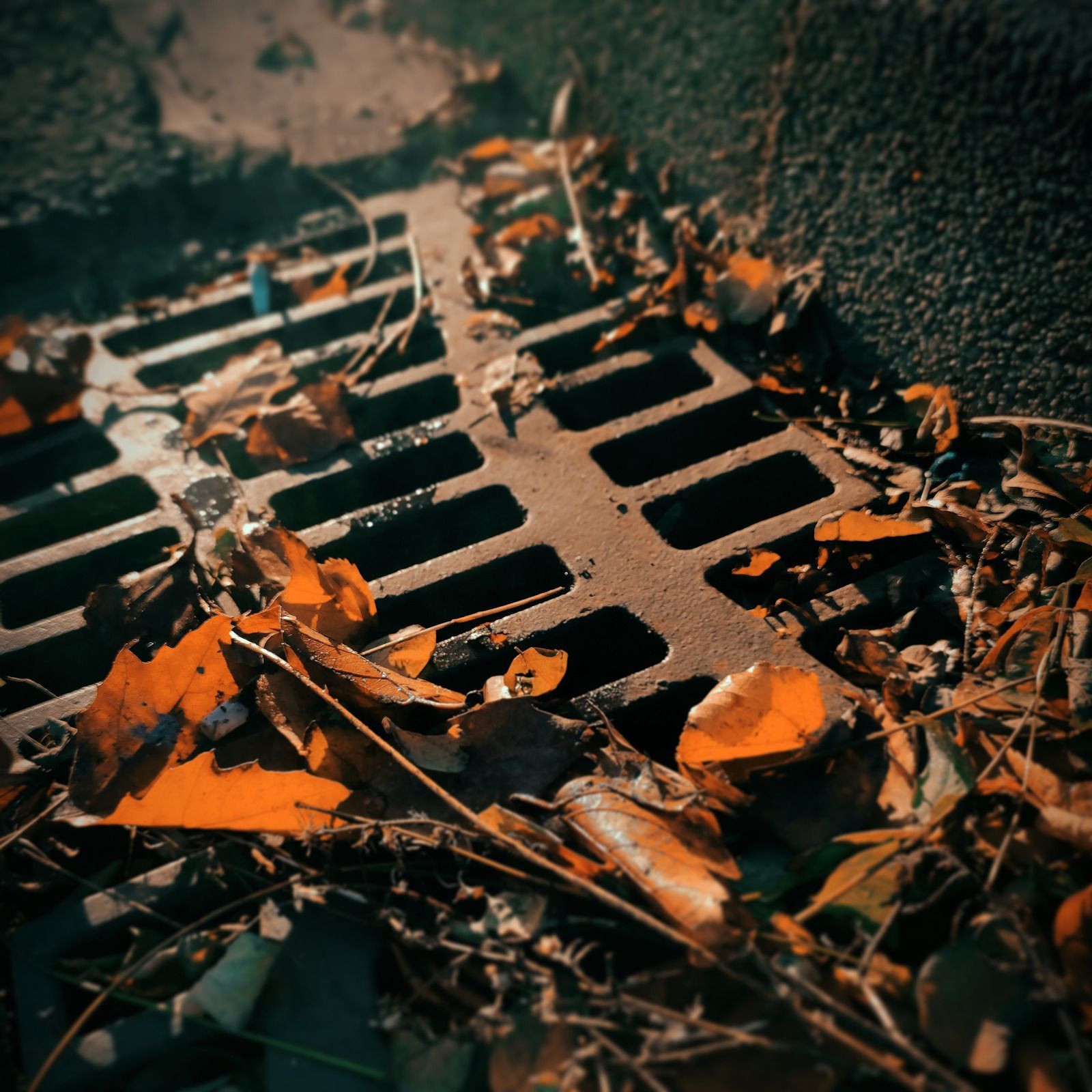 Metal drain covered in autumn leaves, orange and brown hues.