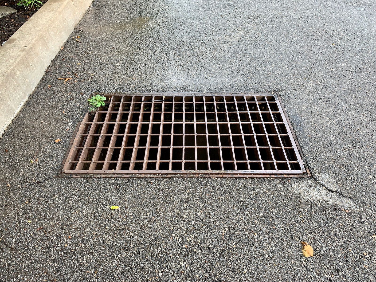 Metal storm drain grate set into asphalt.