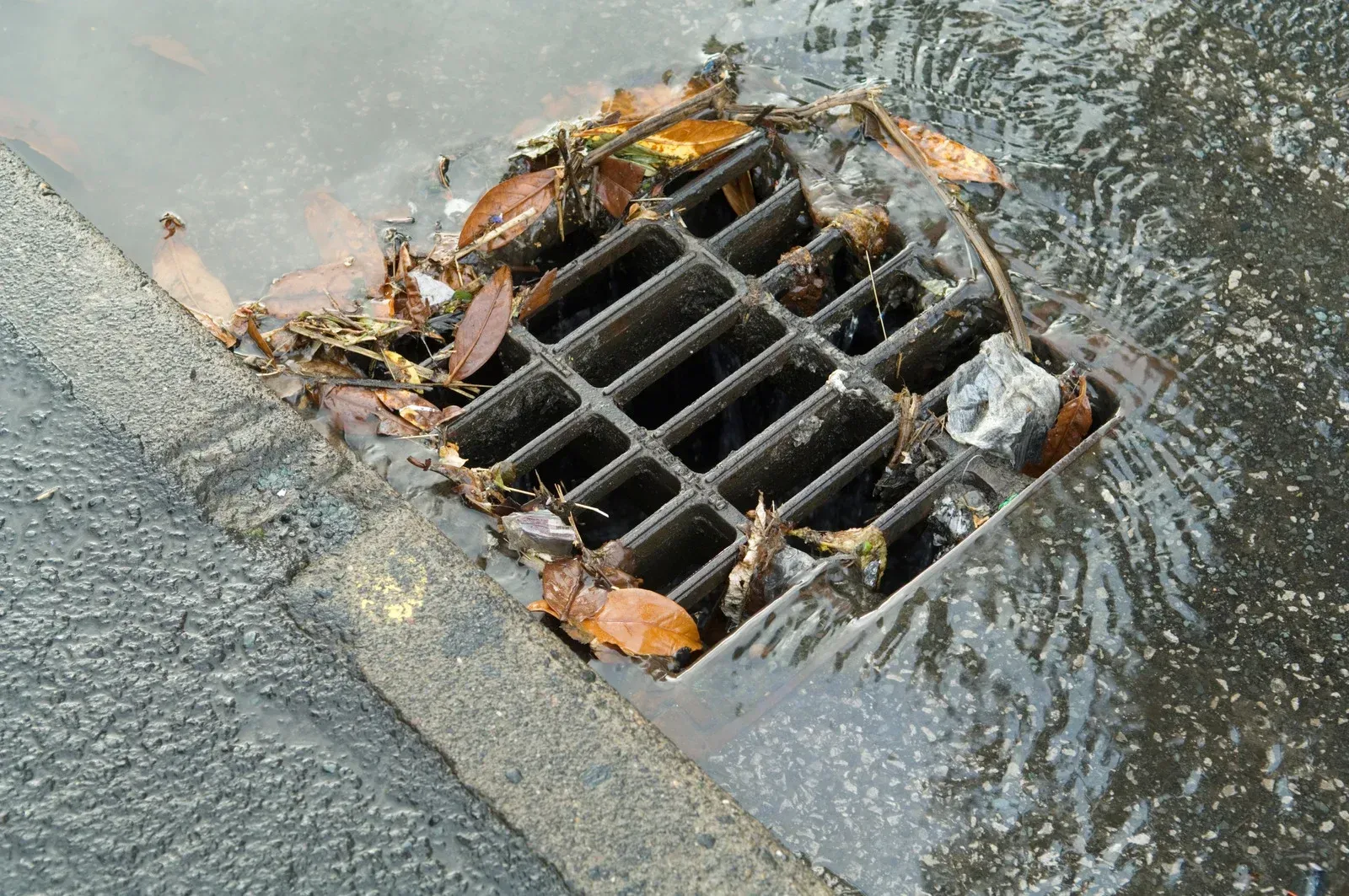 Grill of a storm drain with leaves, partially submerged in flowing water, on a paved surface.