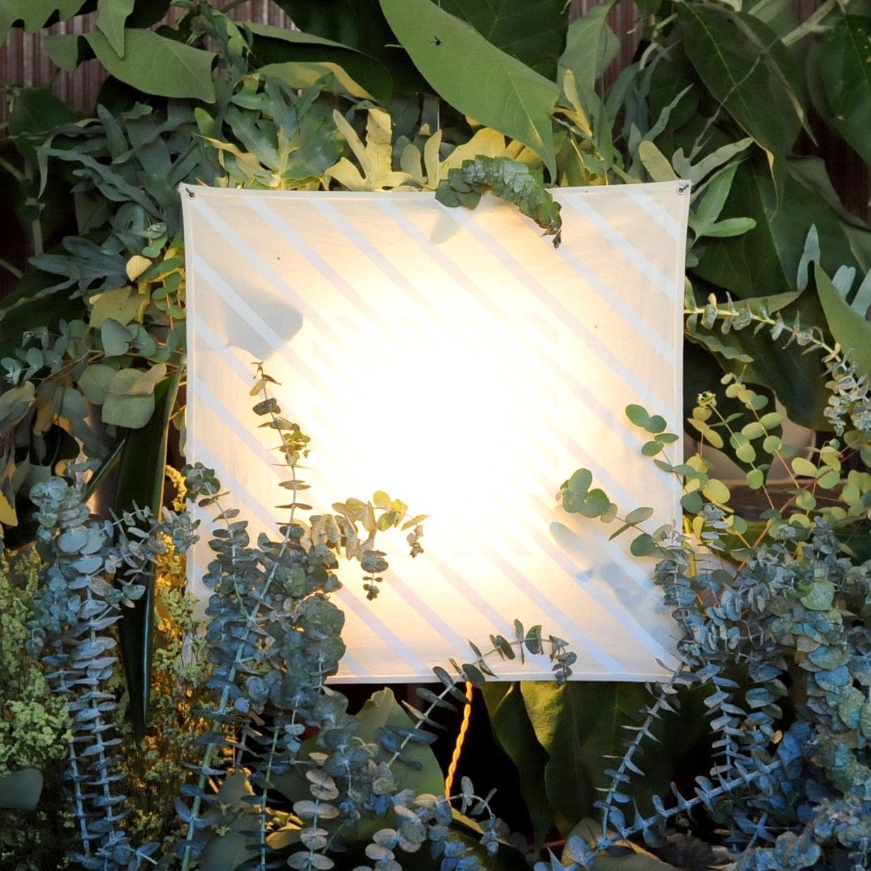 canvas wall lamp among forest