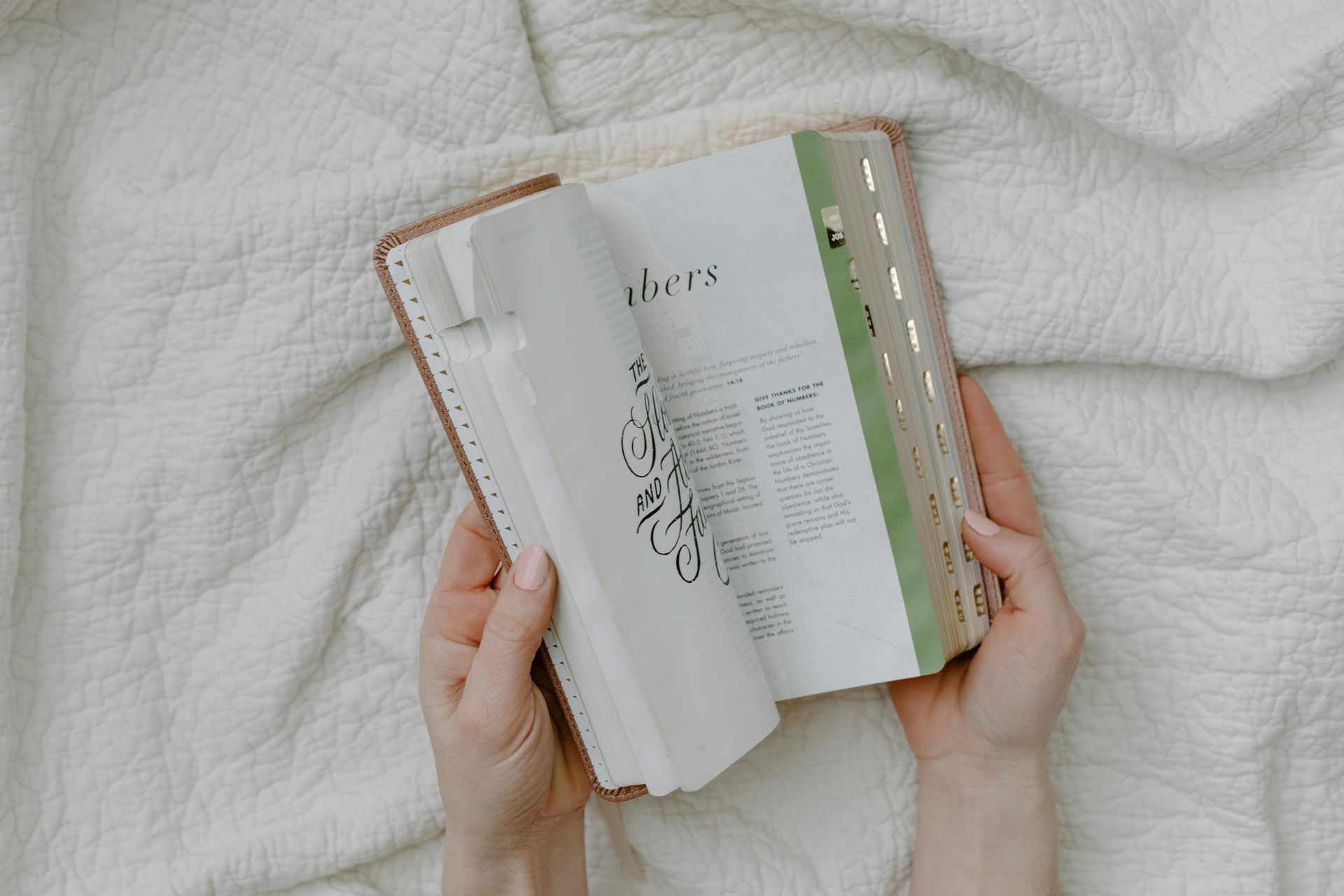 Hands holding an open book on a white blanket, with a green tabbed page visible.
