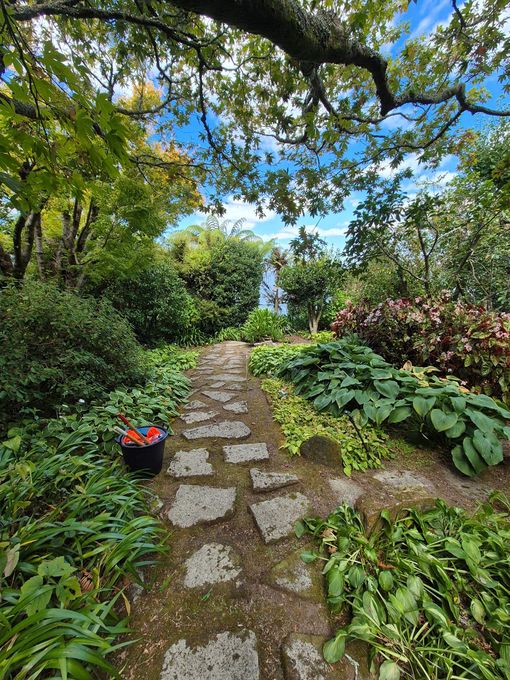 A stone path in a garden surrounded by trees and plants.