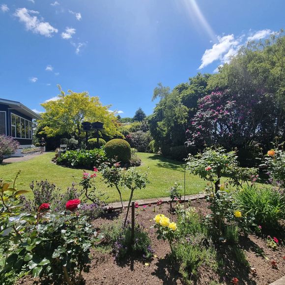 A garden with flowers and trees on a sunny day