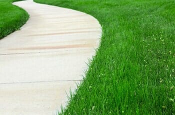 Grassy Land of Sidewalk — Cross Concrete Construction Inc in East Moline, IL