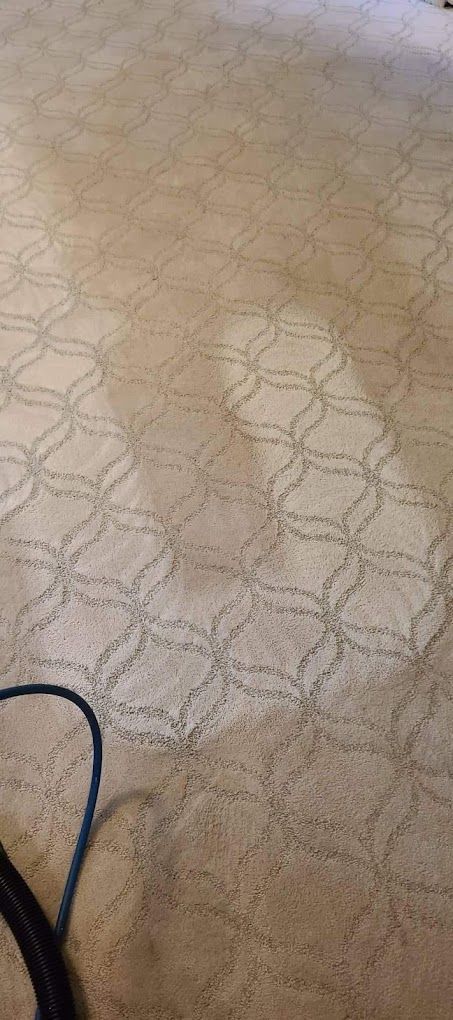 A close up of a carpet being cleaned with a vacuum cleaner.