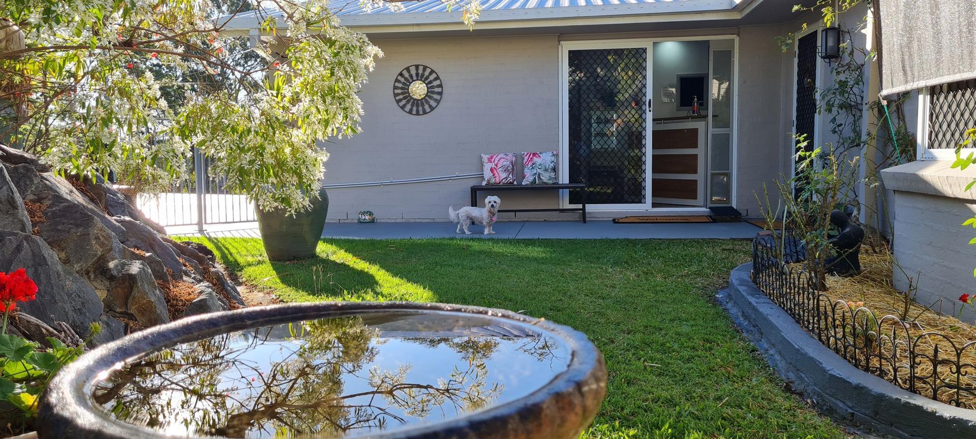 Entrance to AMC clinic with bench, plants and green grass lawn and water reflection from a bird bath in foreground 