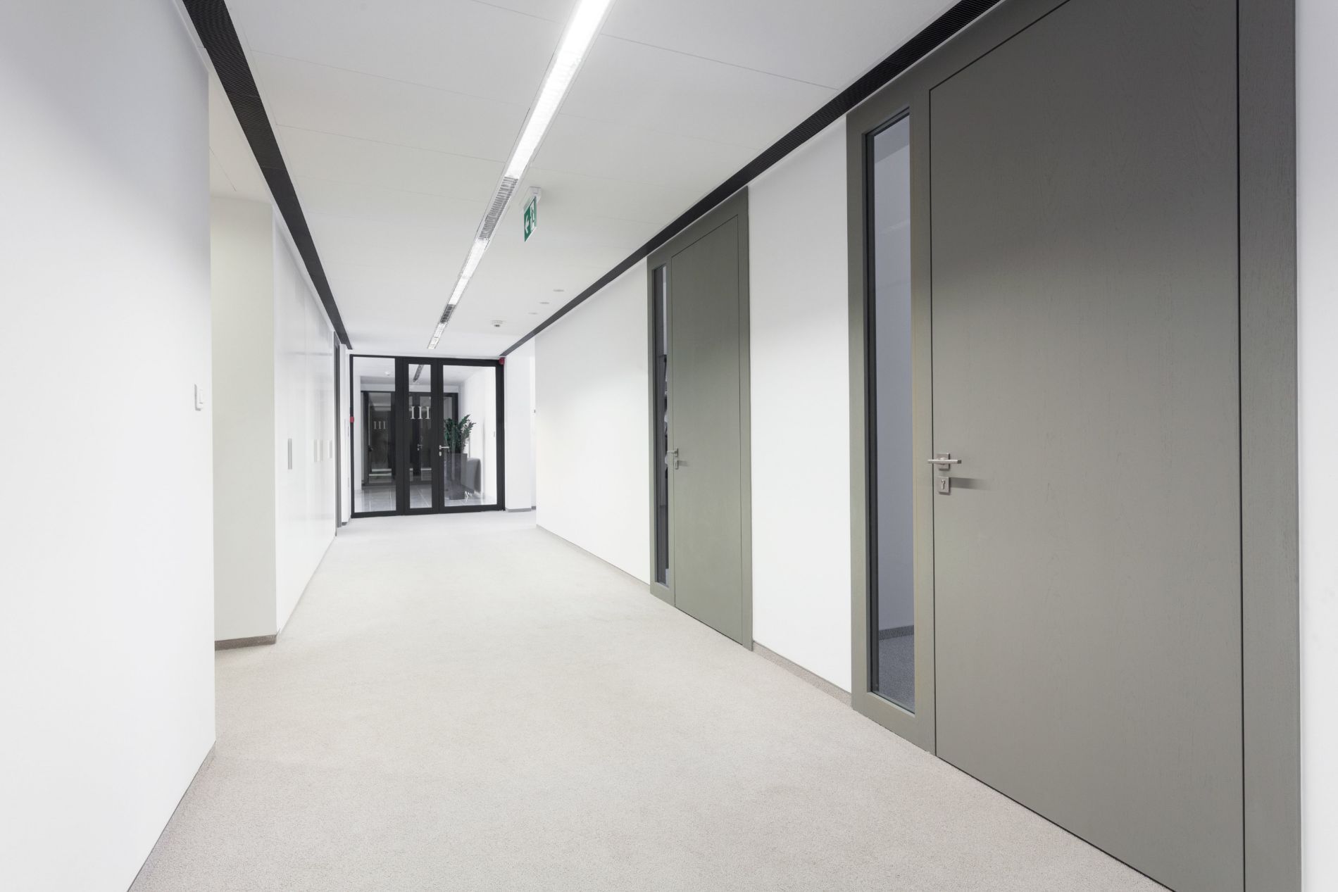 distribuzione porte in legno per interni