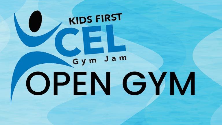 A poster for the xcel summer open gym