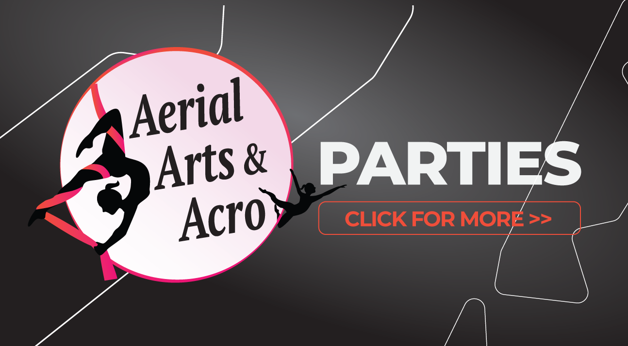 Aerial Art & Acro Parties
