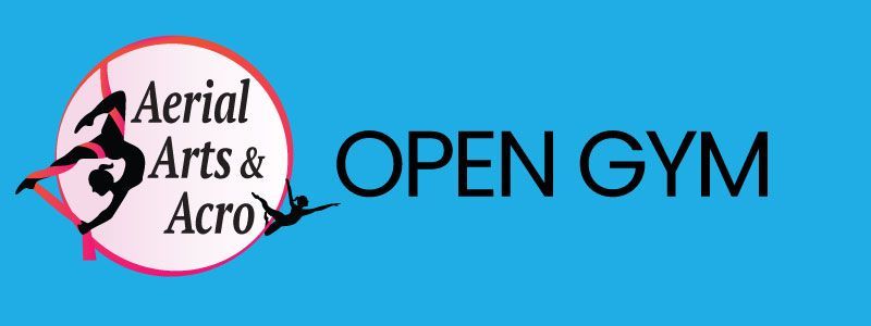 Logo for Aerial Arts & Acro, featuring a person on an aerial hoop, with the text 