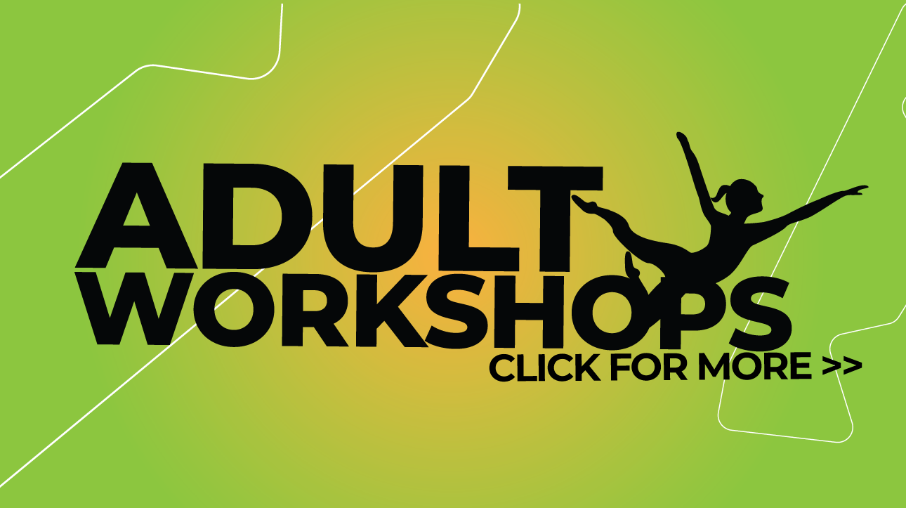 Aerial Art & Acro Adult Workshops