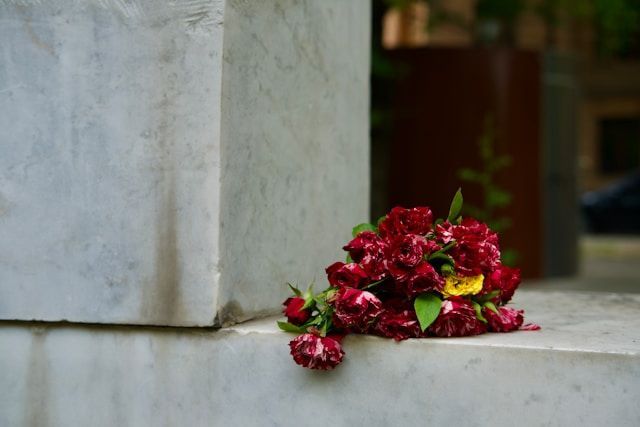 cremation services Indian Rocks Beach, FL