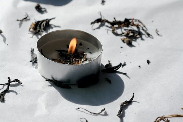 cremation services Indian Rocks Beach, FL