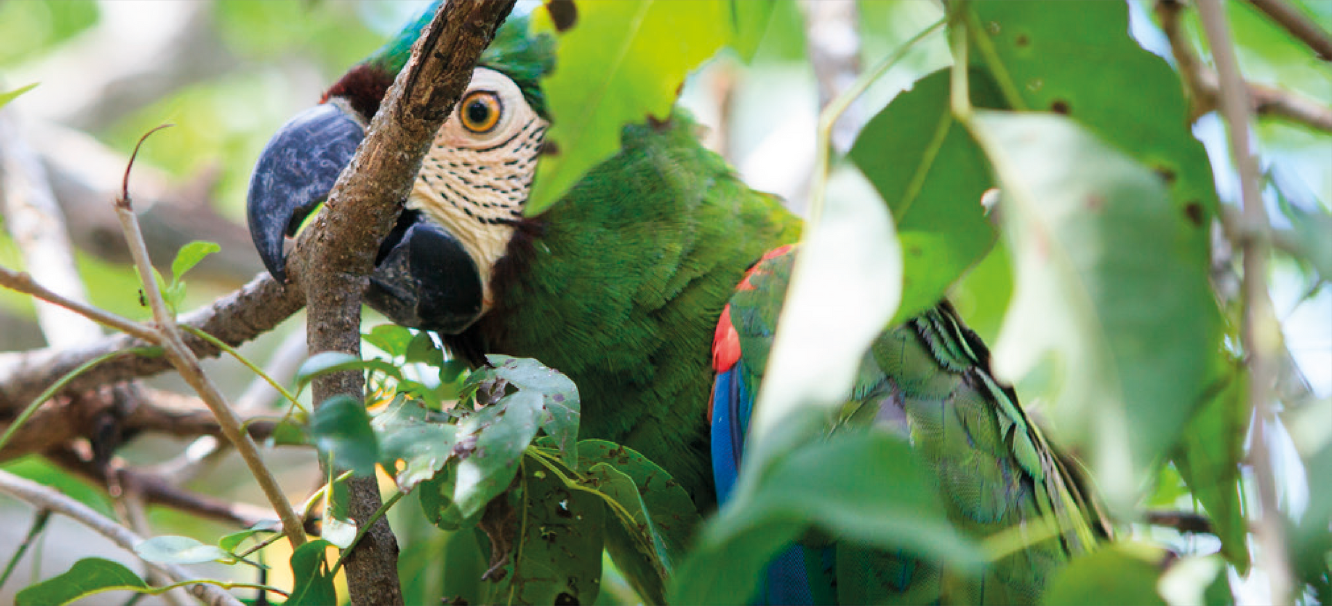 Hotel Capilla del Mar - Inicio - Piscinas
