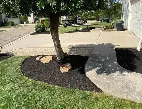 After Landscaping