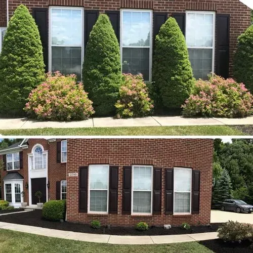 Before and after new landscaping
