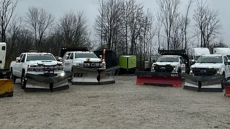Trimming Shrubs in Solon