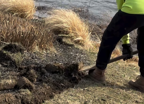 Edging Flower Beds
