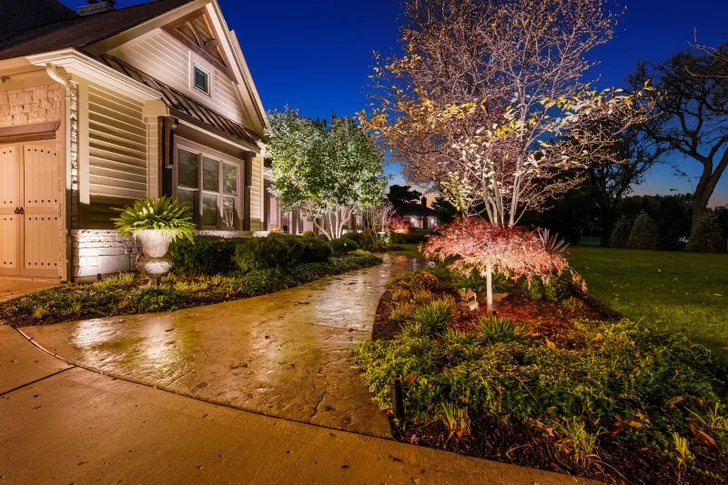 Uplighting and pathway lights