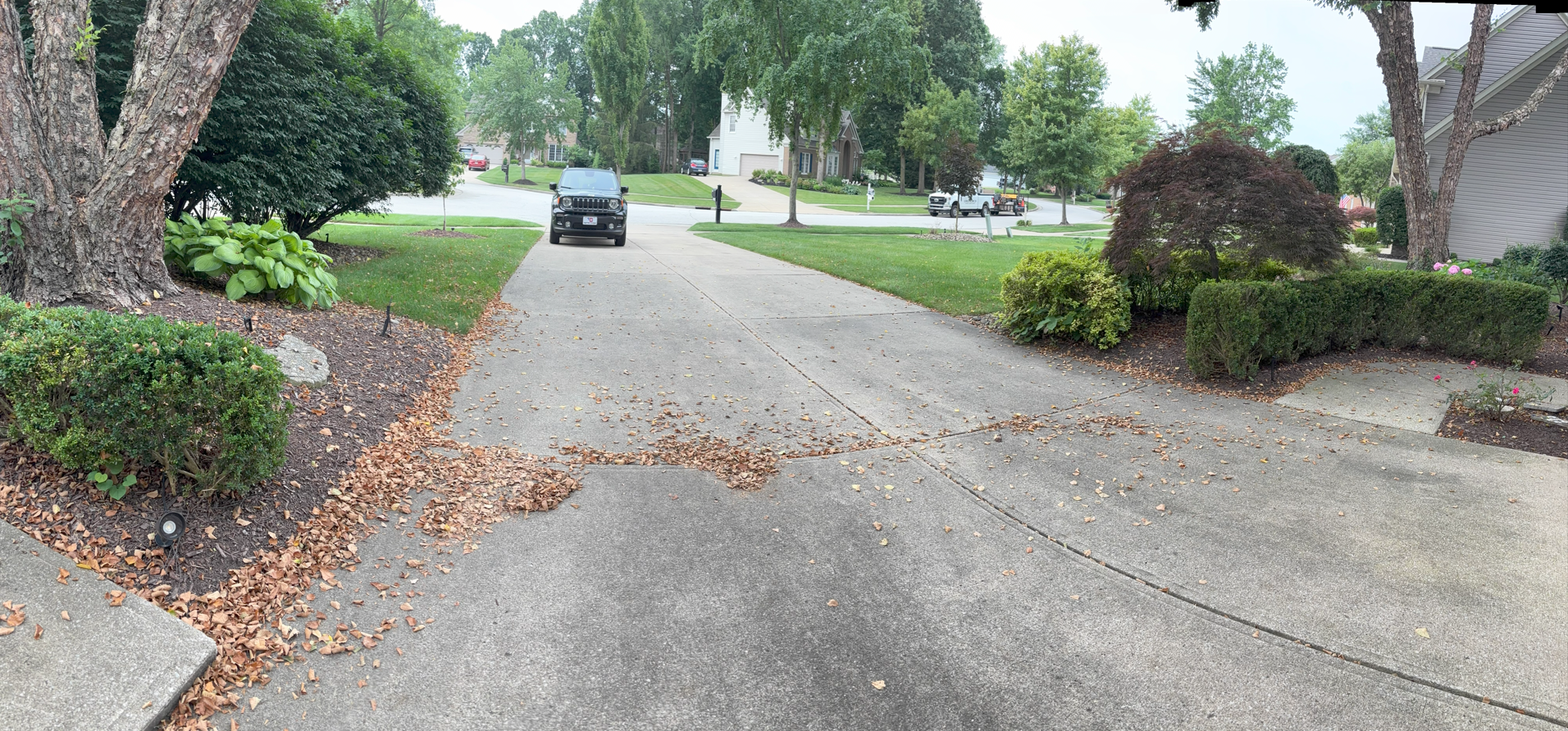 Trimming Shrubs in Solon