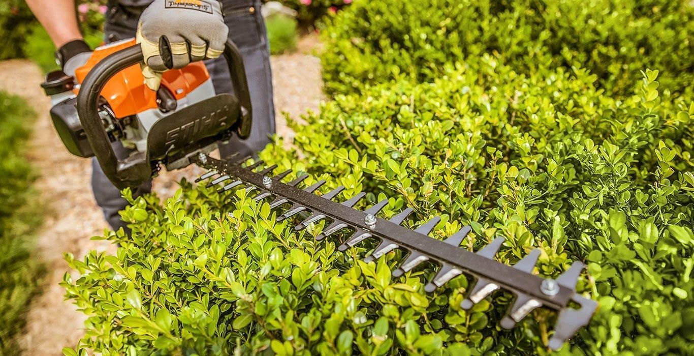 Trimming Shrubs in Solon