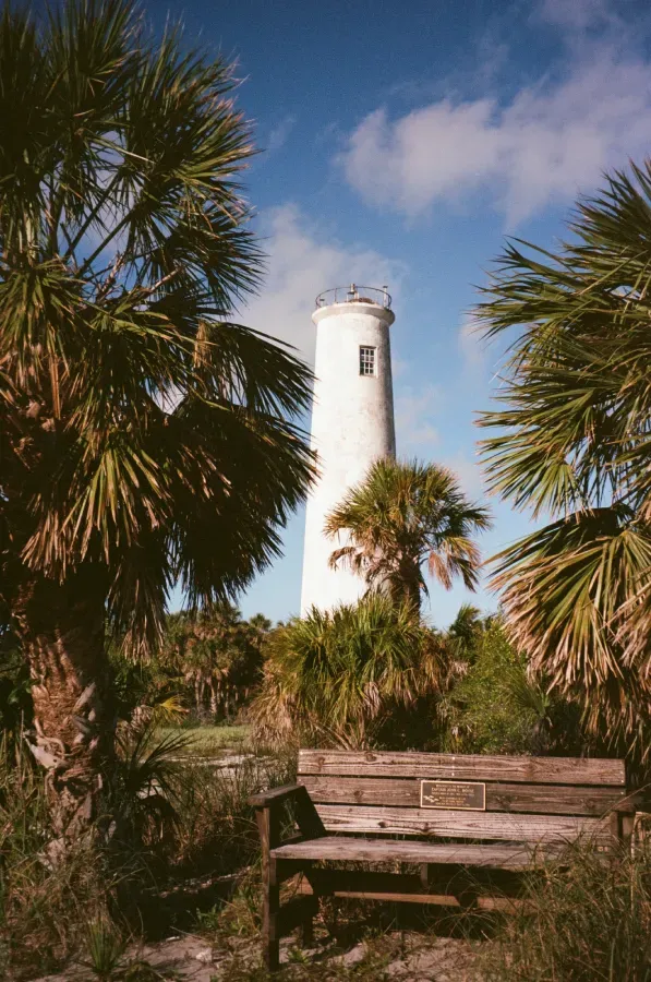 Egmont Key lighthouse framed by palm trees and a wooden bench, under a blue sky.