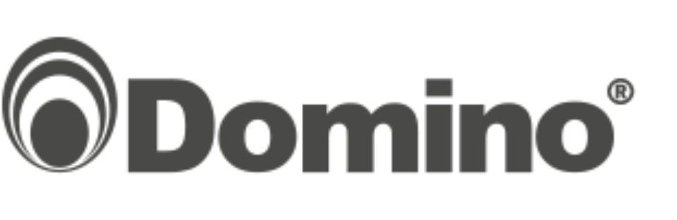 Logo Domino
