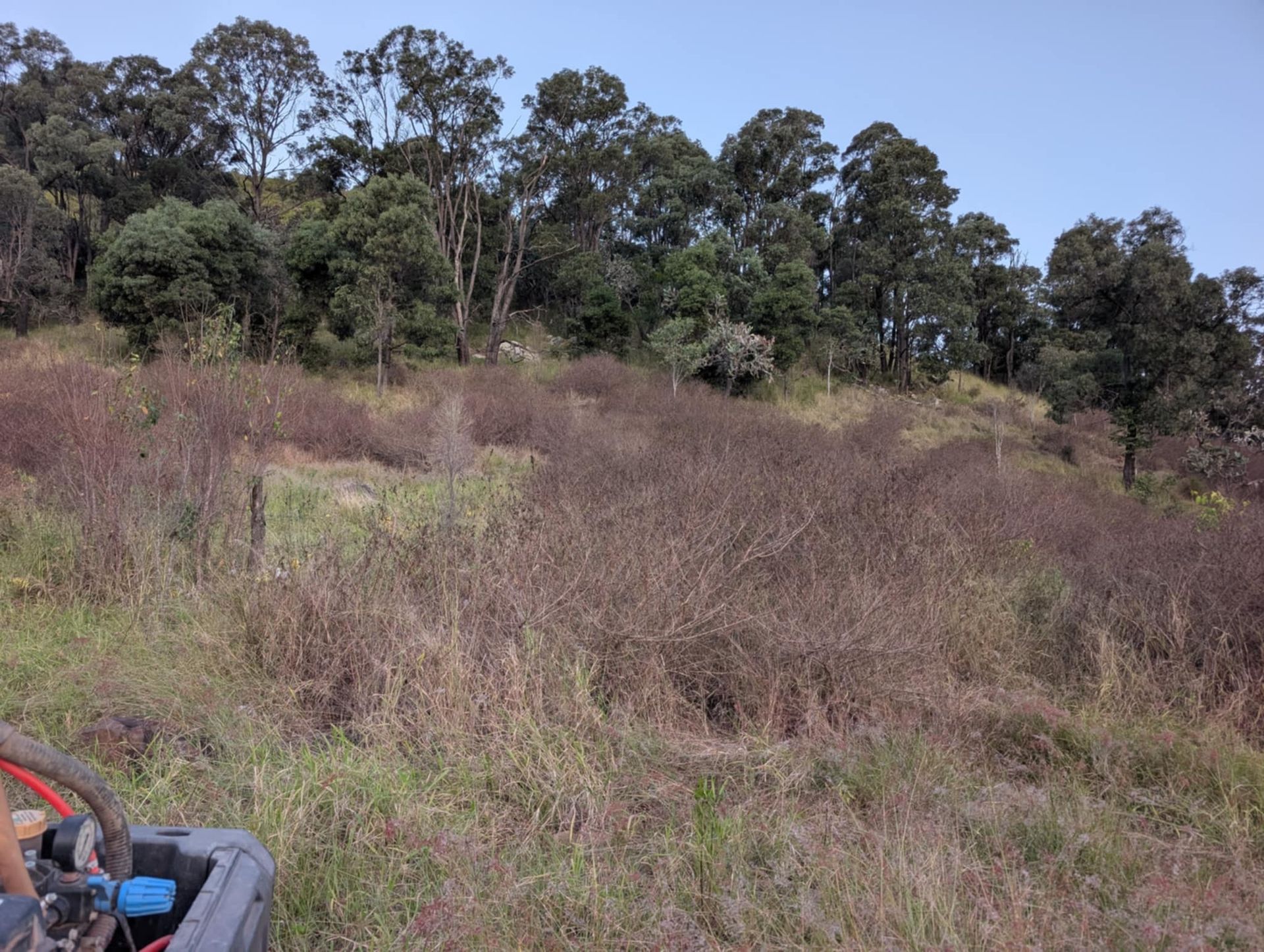 A Person is Holding a Pile of Sesame Seeds in Their Hand — 2K Pasture Management and Consulting In Junction View, QLD