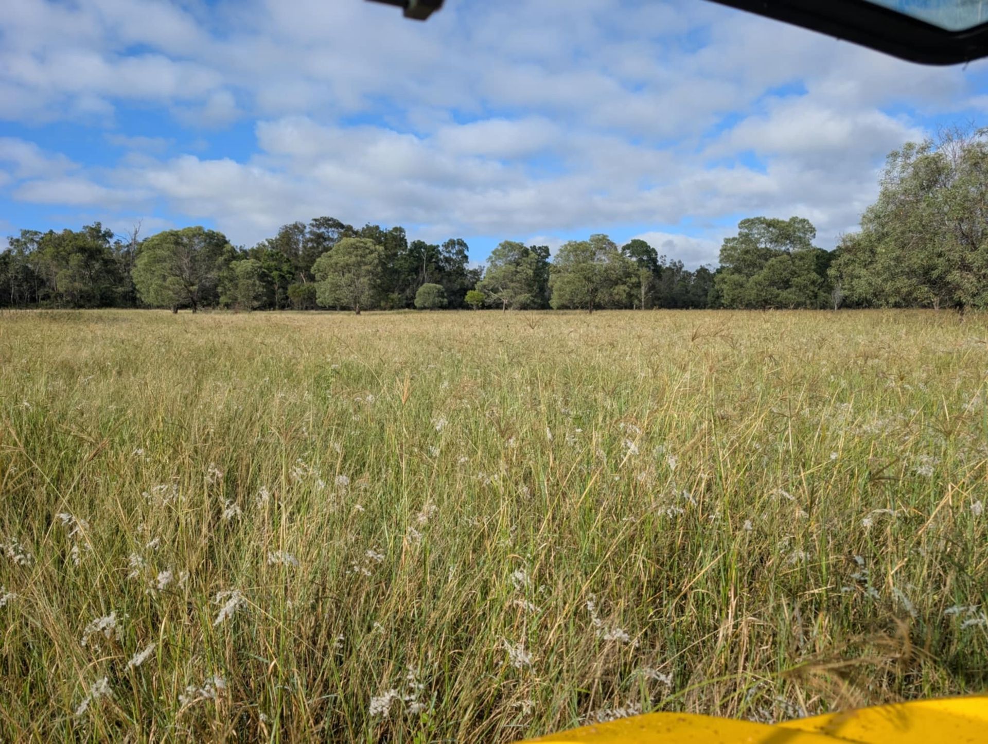 A Man is Using a Lawn Mower to Cut Grass in a Field — 2K Pasture Management and Consulting In Somerset, QLD