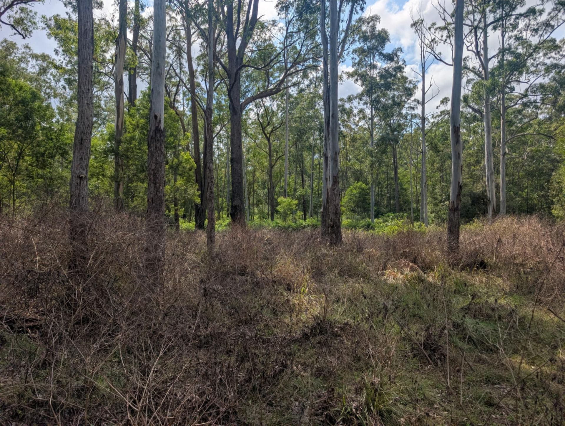 A Green Tractor is Baling Hay in a Field — 2K Pasture Management and Consulting In Toowoomba, QLD