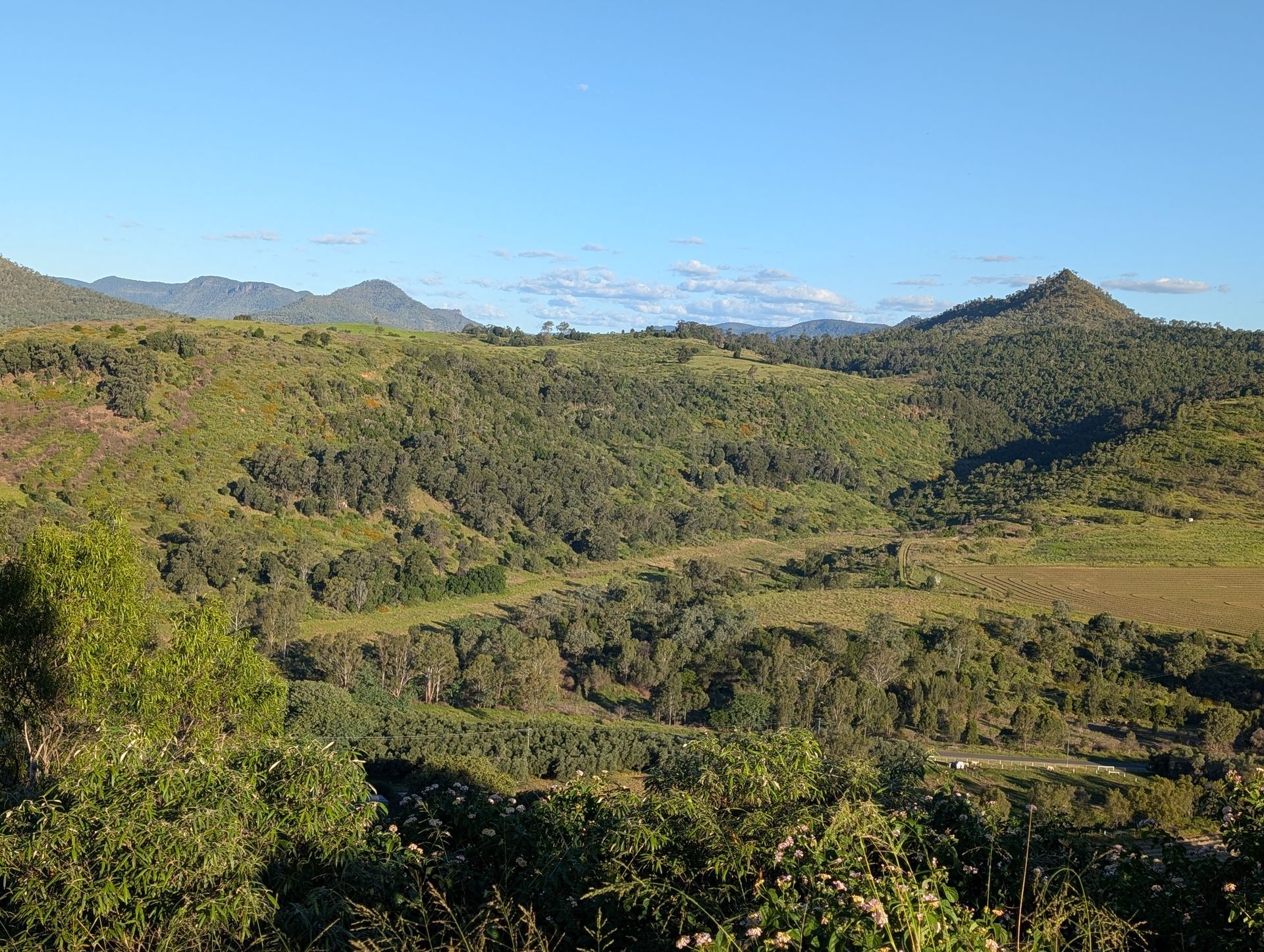 A Man is Driving a Jeep Through a Field of Tall Grass — 2K Pasture Management and Consulting In Junction View, QLD