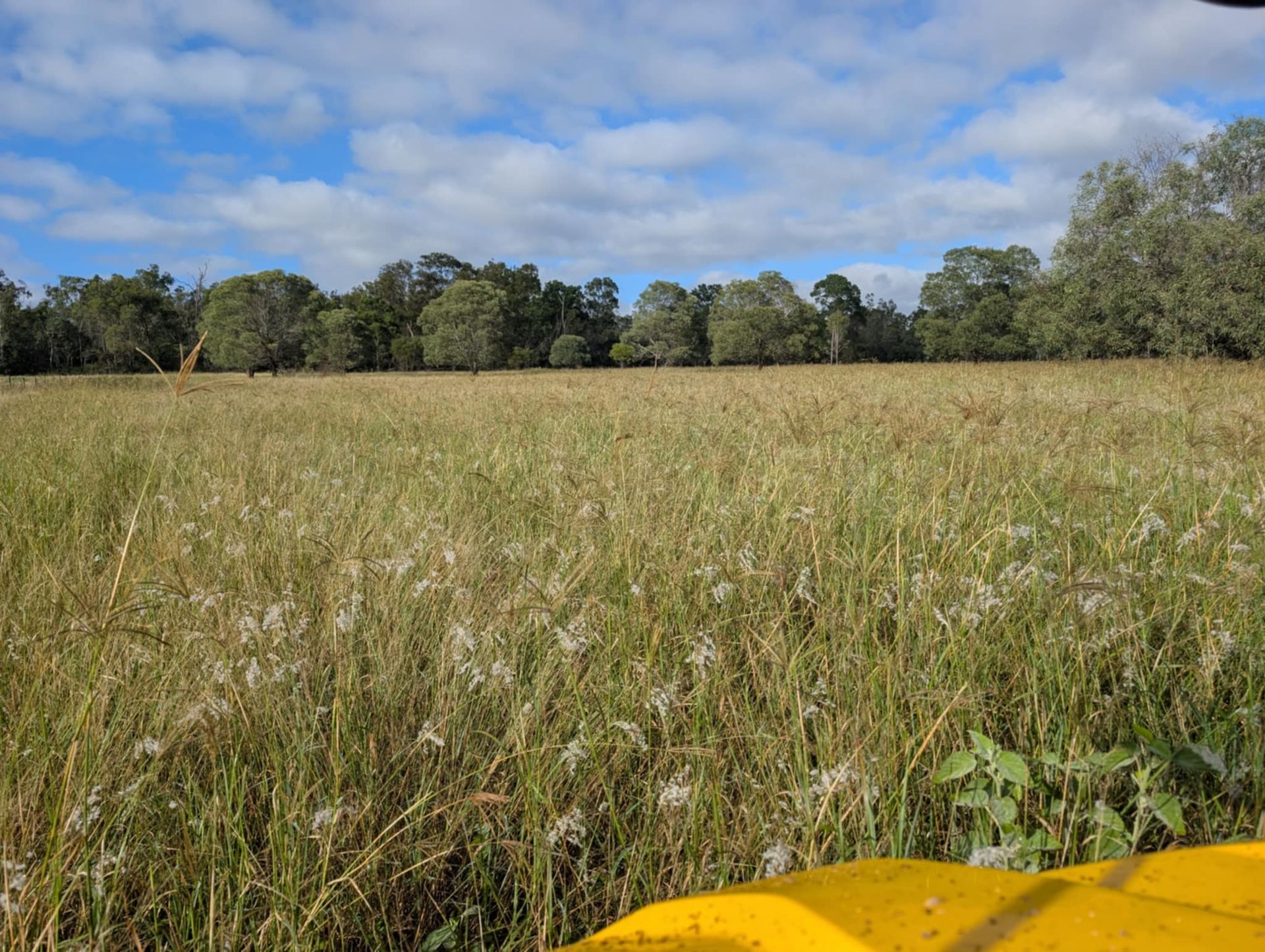 Tailored Weed Management for Wheat Field — 2K Pasture Management and Consulting In Ipswich, QLD
