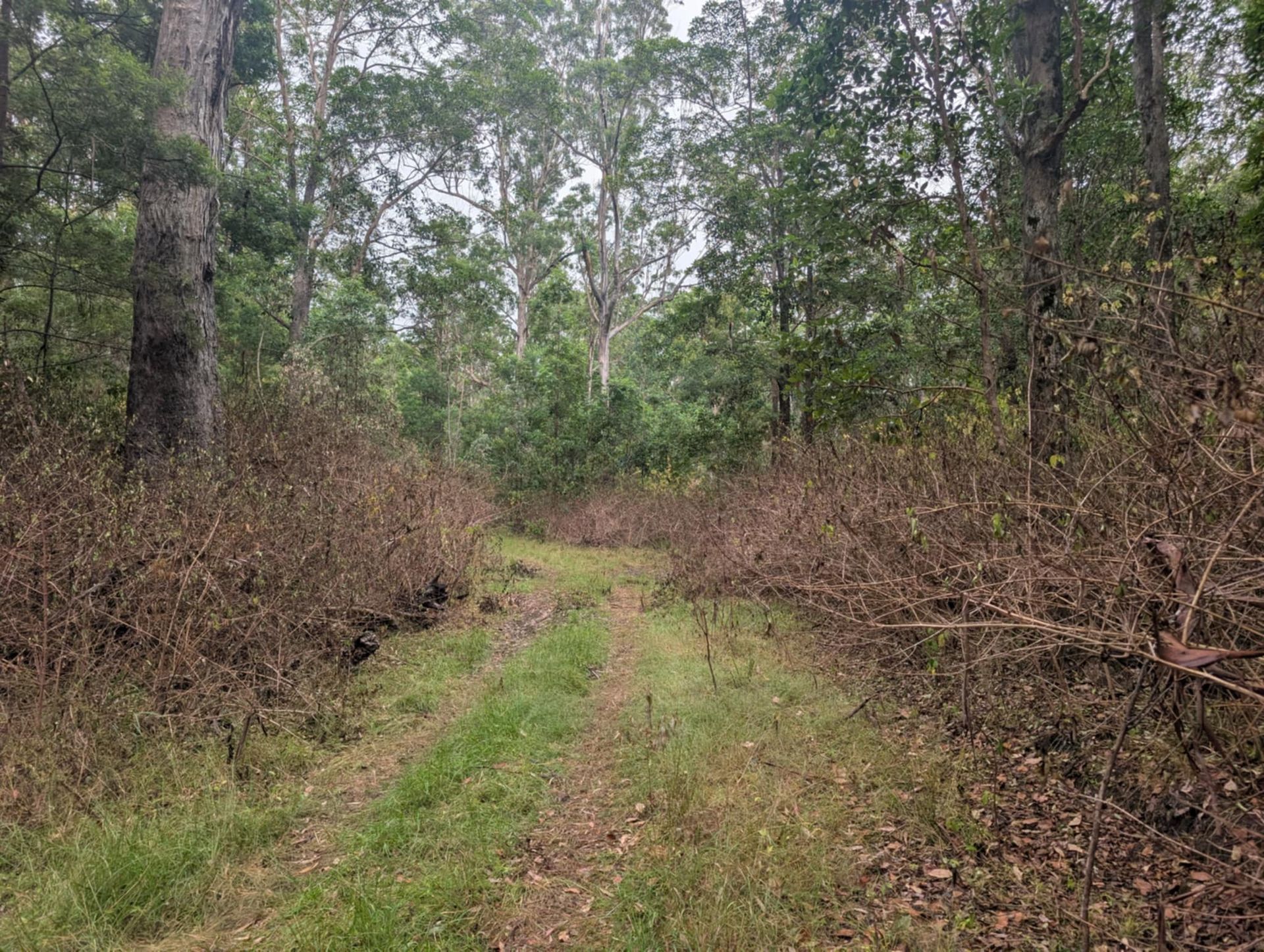 Doing Wheat Management While Protecting Good Soil — 2K Pasture Management and Consulting In Warwick, QLD