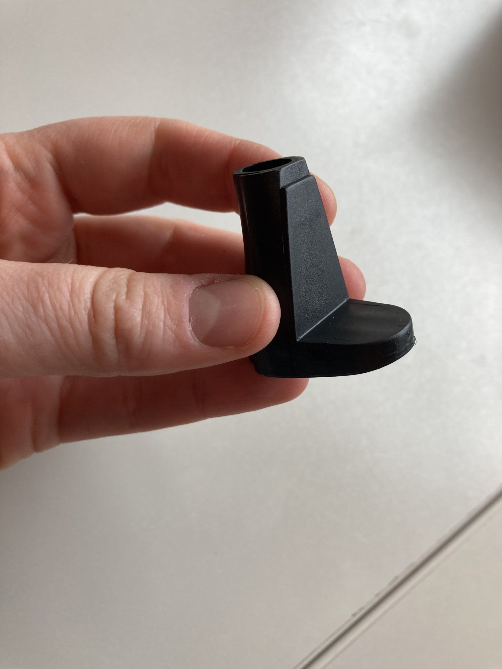 A person is holding a small black object in their hand