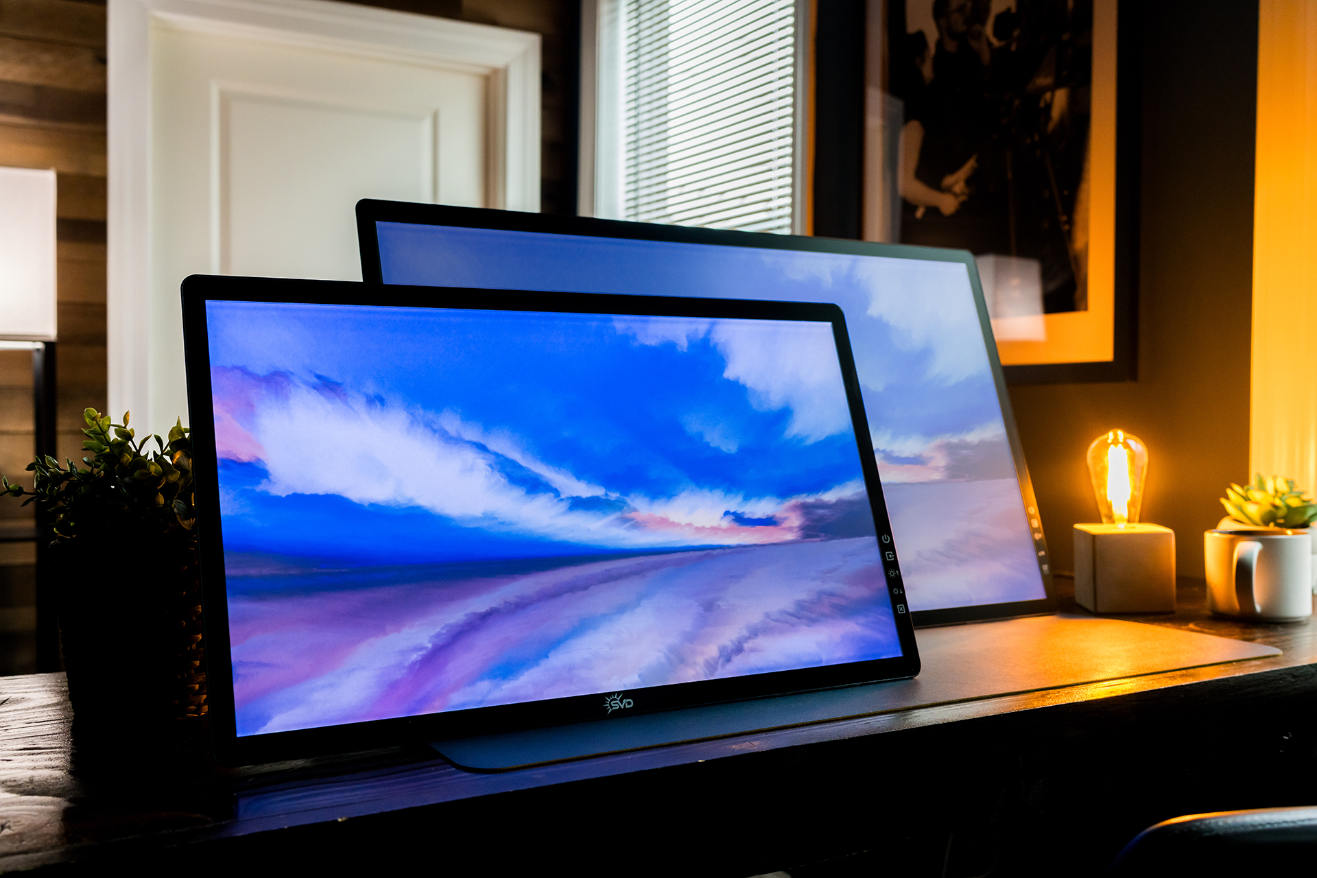 The rE 2.0 Dawn and Eve - Fontlit RLCD Monitors
